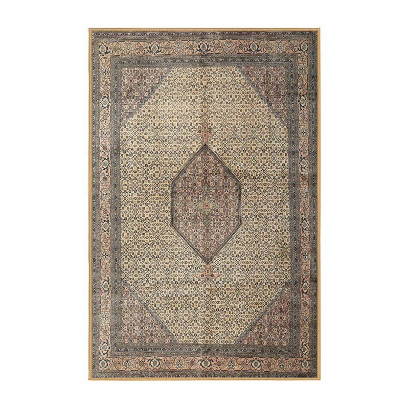 Tapis beige Southwestern, Rectangle 6 pi x 9 pi