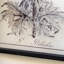 Petiole Art