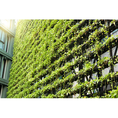 Green Wall Â€“ Vertical Garden Â€“ BioWall by FredFroese - No Frame Art Prints on Canvas