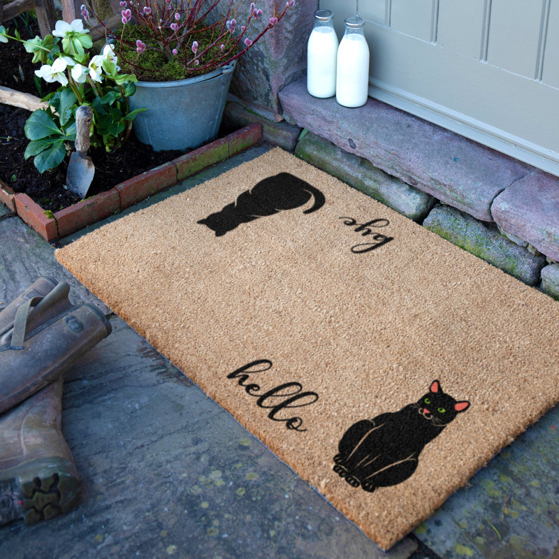 Non-Slip Indoor Doormat