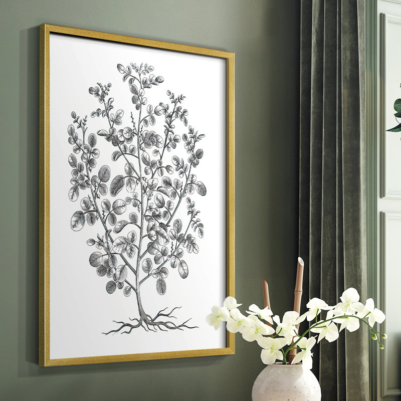 «B&W Plant Specule I», reproduction encadrée - bois massif, H 20 po x l 16 po