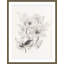 Hellebores At Daybreak 1 Print-85934253