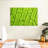 Harnek Plant Cells-108706093