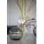 Primula Handmade Glass Table Vase-2000853991-2000853990