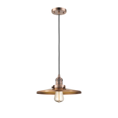 Luminaire suspendu simple à 1 lumière Appalachian