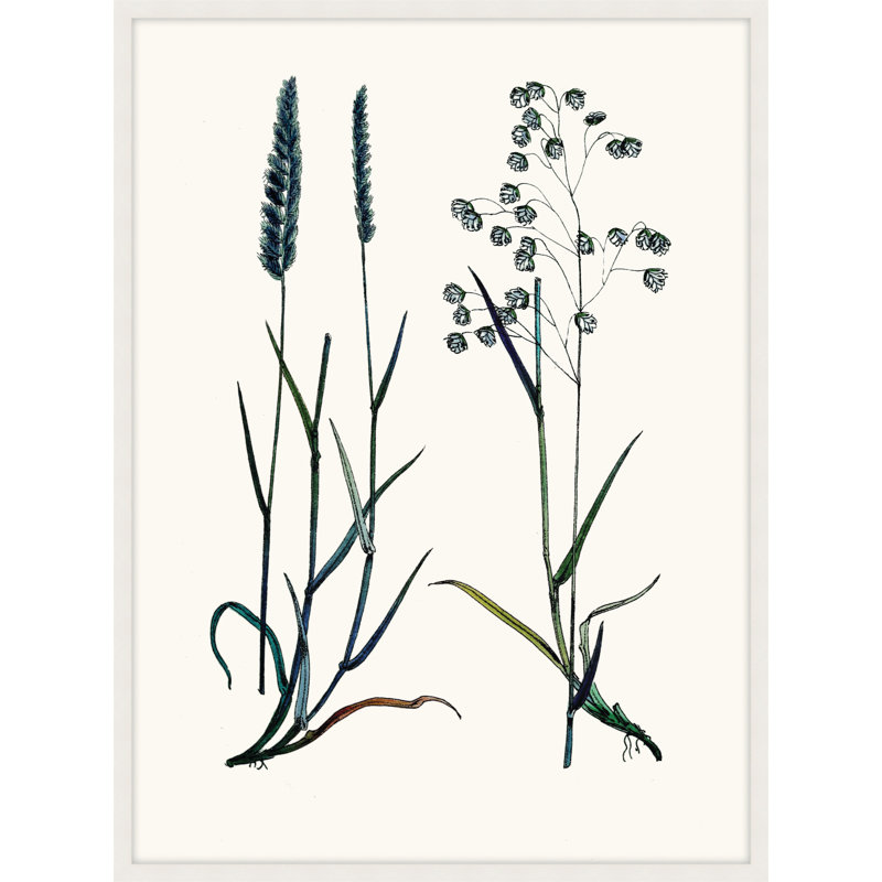 Careful In Contemplation 3 Print, 24" H x 18" W x 1" D
