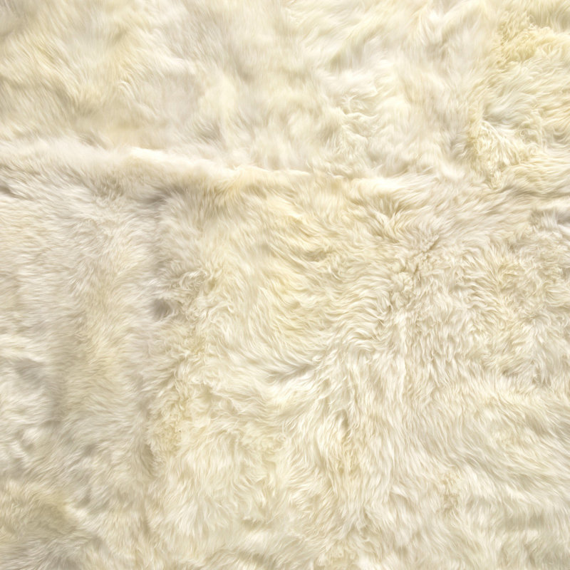 Lalo Sheepskin Area Rug in Cream, Novelty 4'5'' x 5'75''