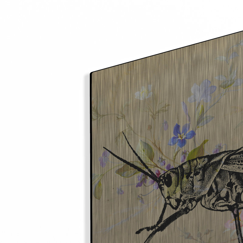 "Papier peint sauterelle" par Dean Russo, H 24 po x l 24 po