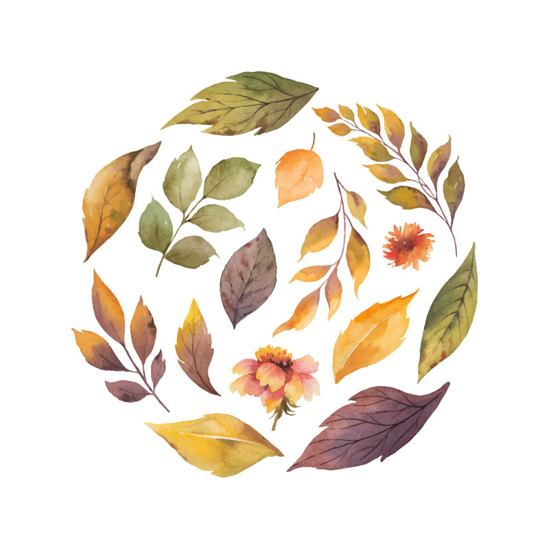 Watercolor Leaves - Wrapped Canvas Painting, 30cm H x 30cm W x 3.8cm D