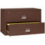 Fireproof 2 - Drawer File Cabinet-217287-331550