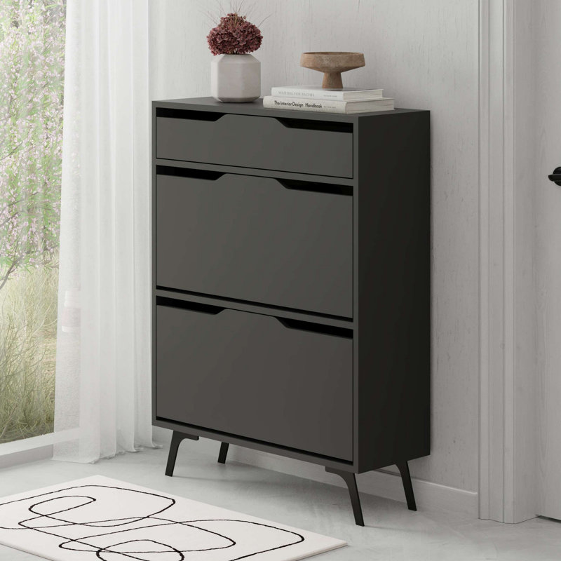 Baneen 8 Pair Shoe Storage Cabinet, Anthracite