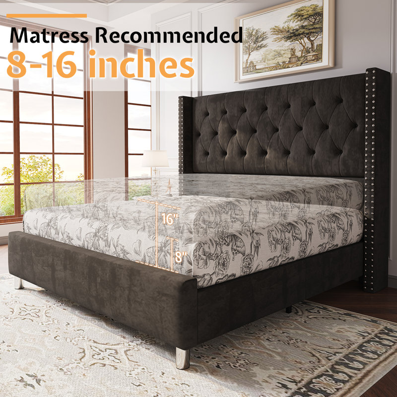 Duluth Upholstered Wingback Bed, Queen, Black