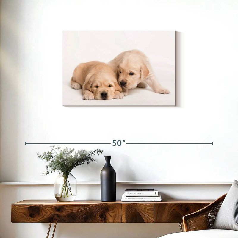 Brampt Golden Retriever de Brampt, H 20 po x l 30 po