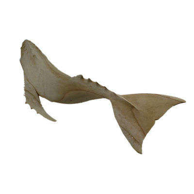 Coastal hand carved natural beige wood humpback whale statue for shelf decor, 20 inches wide