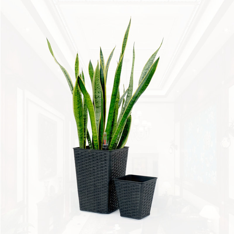 Ensemble de 2 pots à fleurs, Espresso