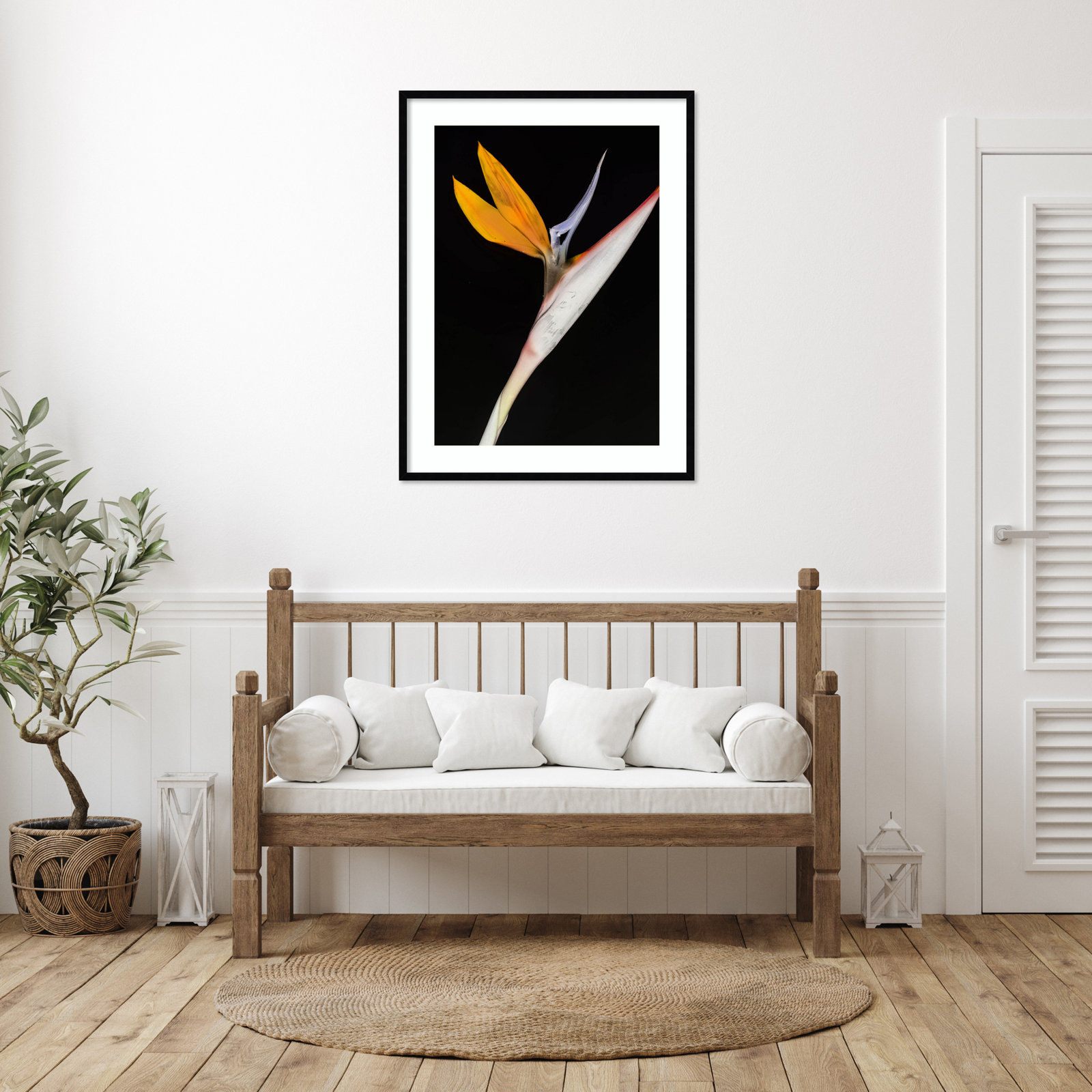 Olcott "Bird of Paradise" Print, Black, 41" H x 31" W