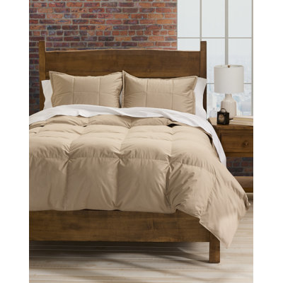 Cuddledown Chroma Down Alternative Comforter