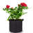 Anielka 10-Piece Plastic Nursery Pot-207067853