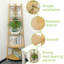 Bamboo