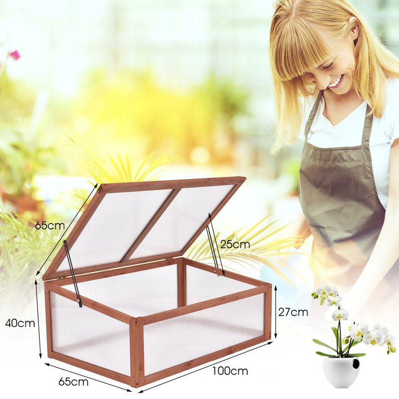 100 Cm X 65 Cm Ellizabeth Cold Frame