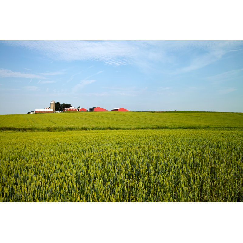 American Farm by JKunnen - Wrapped Canvas Print, 30cm H x 46cm W x 3.8cm D