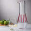 Beak Set of 2 Glasses Iris Apfel Inspiration 12 oz.