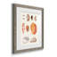 Toile encadrée de qualité supérieure Shell - prêt à accrocher-891052652-891277995-891277987
