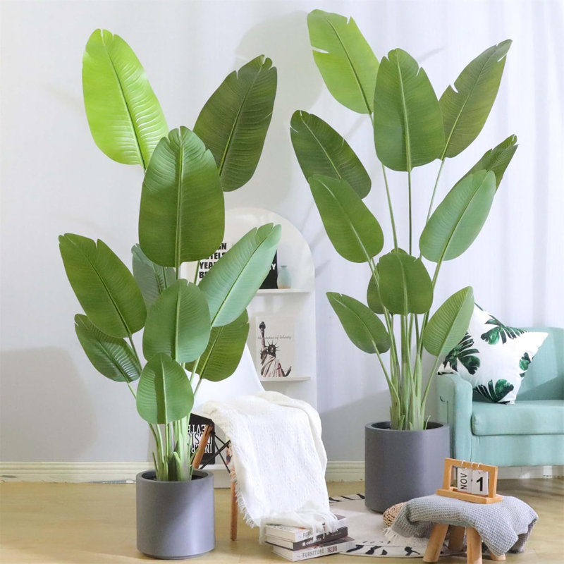62.99cm Plant
