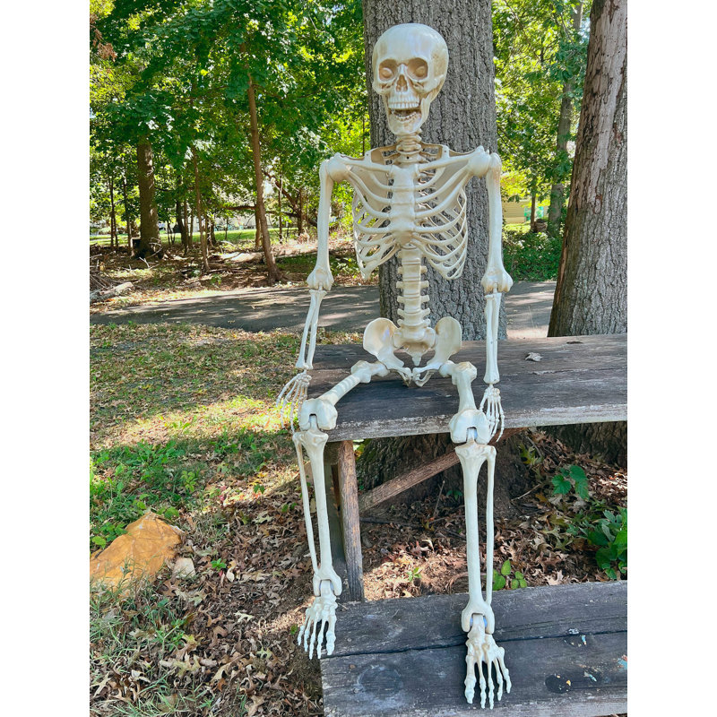 Halloween Decoration