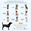 Cage pour chien 36 po Pawhut en cage robuste avec roues verrouillables