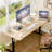 Electric Adjustable Height Standing Desk
