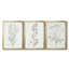 Botanical Study in Sage I - Toile tendue avec châssis sur mesure - 3 pièces-966314525-966314521