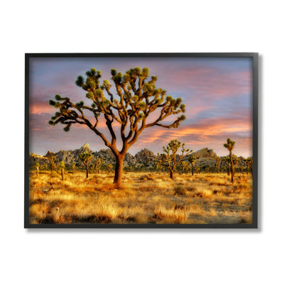 «Stupell Industries Savanna Trees», reproduction d'art sur toile par Dennis Frates