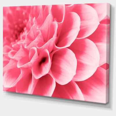" Pink Abstract Flower Petals "