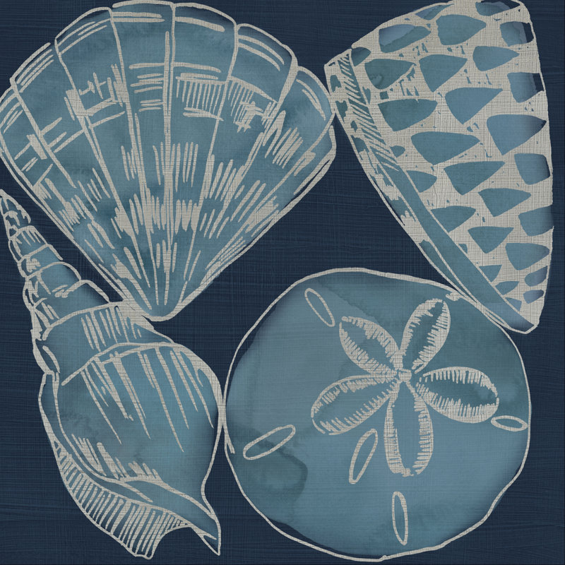 Marine Shells IV by Chariklia Zarris - Wrapped Canvas Painting, 76cm H x 76cm W 