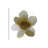 Taupe Bloom I by Hannah Carlson - Wrapped Canvas Gallery-Wrapped Canvas Giclée-132448185