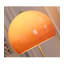 Lampe sur pied en bois Retro Gradient Shade