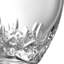 Lismore Essence 13.5floz Double Old Fashioned