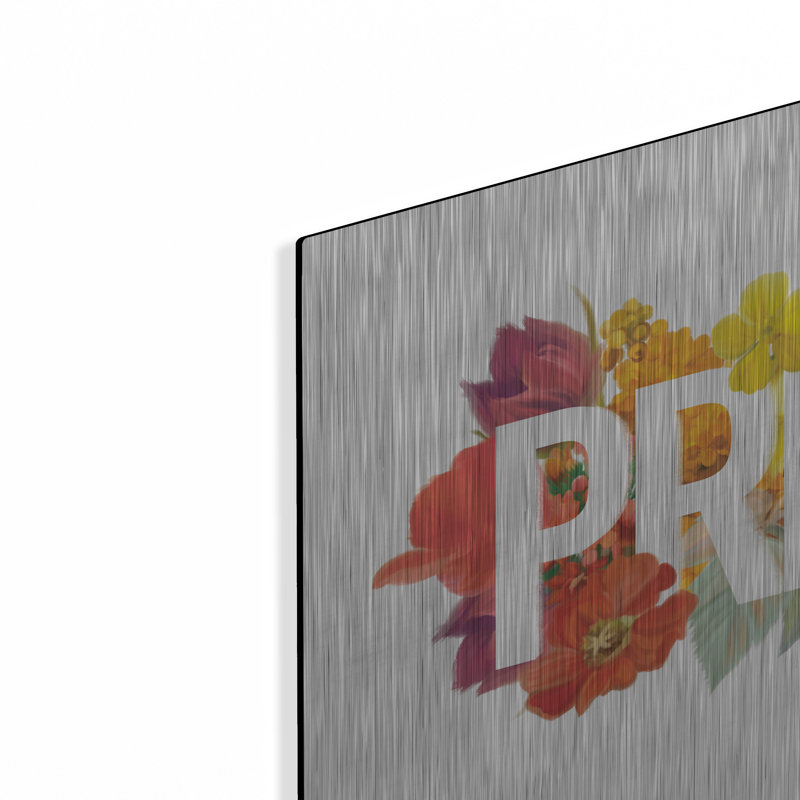 «Rainbow Pride» par House Fenway, H 12 po x l 16 po