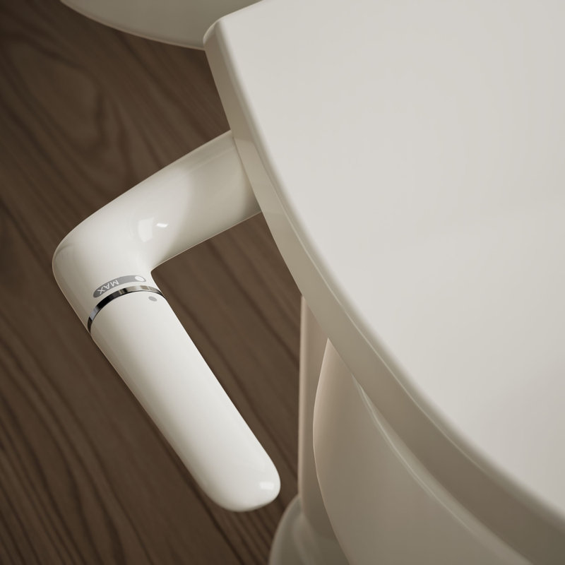 Puretide Toilet Elongated Bidet Seat, Biscuit