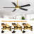 Rolanda 52" 5-inch Downrod Mount Ceiling Fan with Light Kit and Remote Control-1927761638