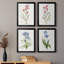 Delicate Pink I - ensemble de 4 peintures sur toile encadrées-379458572-379458573