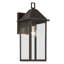 16.75" 1-Light Outdoor Wall Light with Clear Glass-115680860-115680859