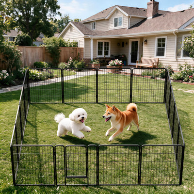 Enclos pour chien 32 po en métal noir mat 32 po H 8 po
