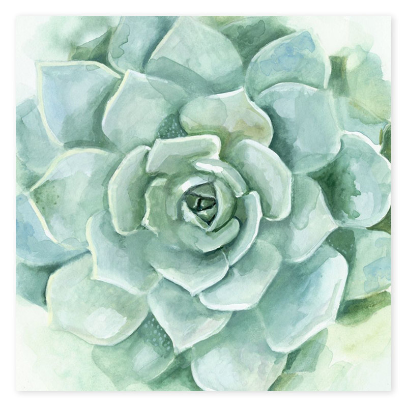 «Verdant Succulent», reproduction d'art sur toile tendue