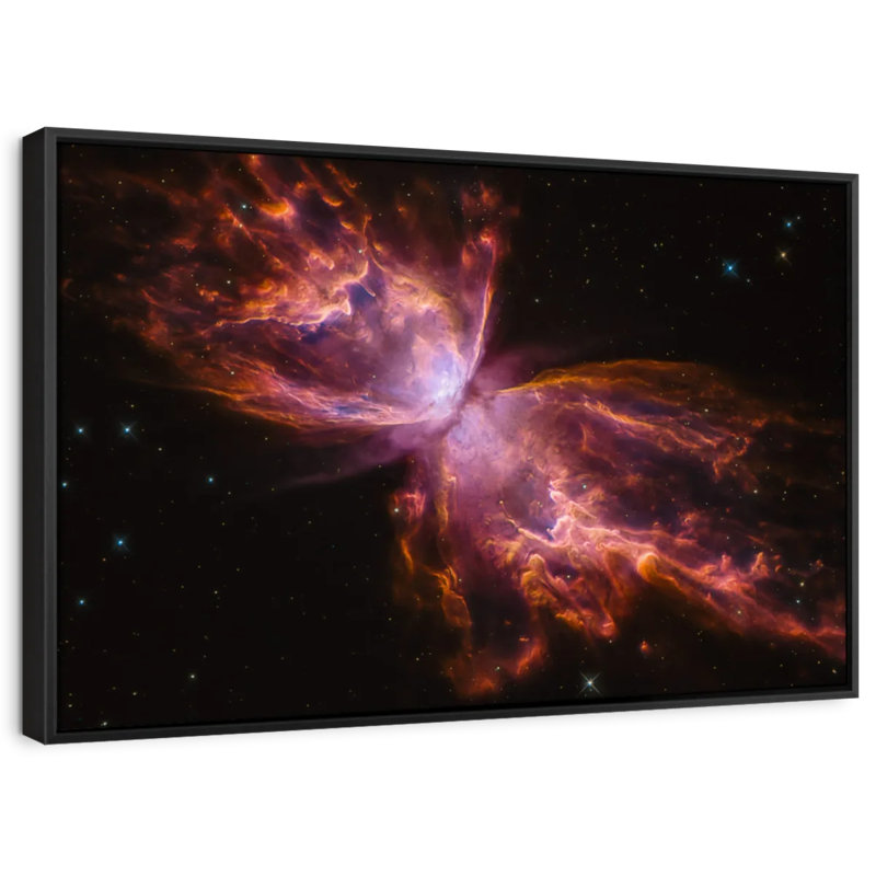 Impression sur toile Butterfly Nebula, H 27 po x l 40 po