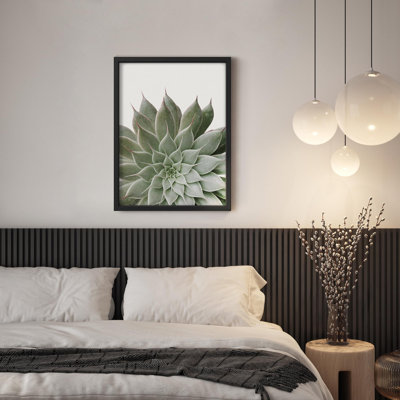 «Lush Green Succulent Botanical Nature Illustration Small Decor Art Work»