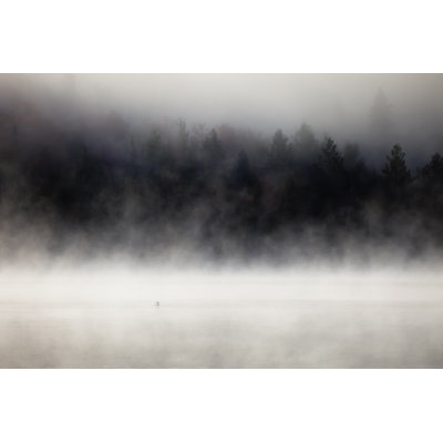 " Foggy Forest " by Igorkov