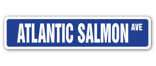 Plaque de rue saumon atlantique en plastique robuste 4 po x 18 po