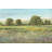 " Abundant Spring II " by Timothy O' Toole-1441414118